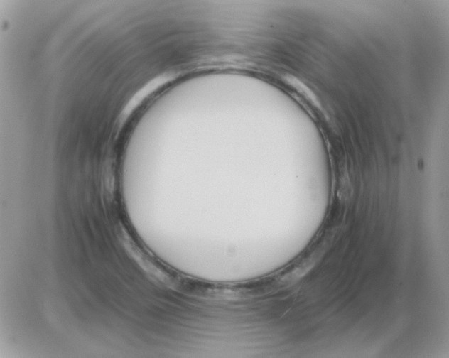 X0000085841458200704132051