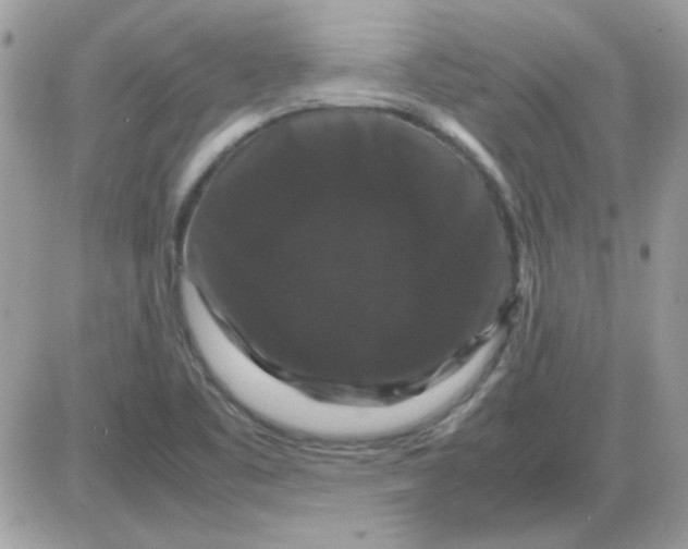 X0000085841461200704132051