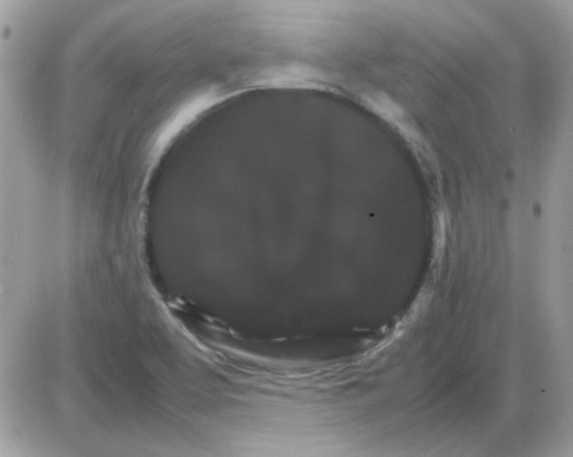 X0000085841463200704132051