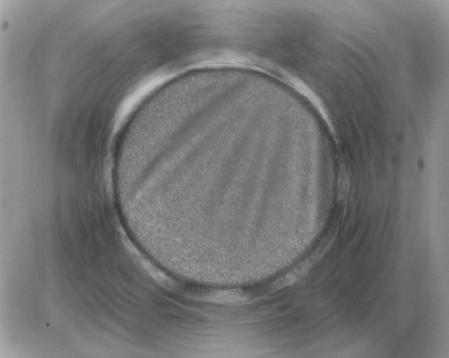 X0000085841464200704132051