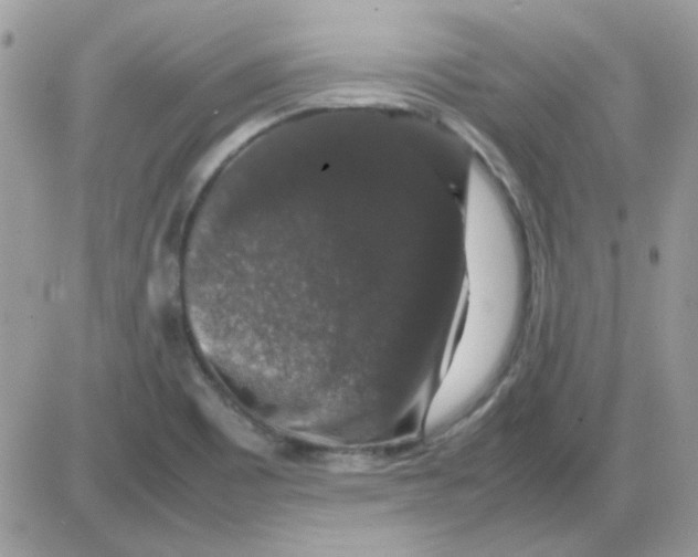 X0000085841465200704132051