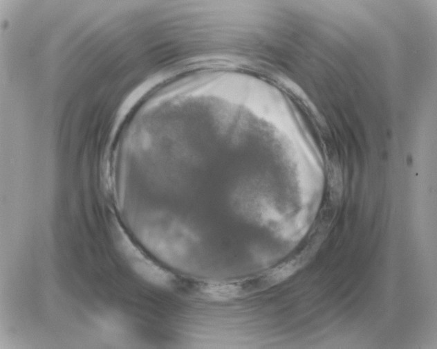 X0000085841466200704132051