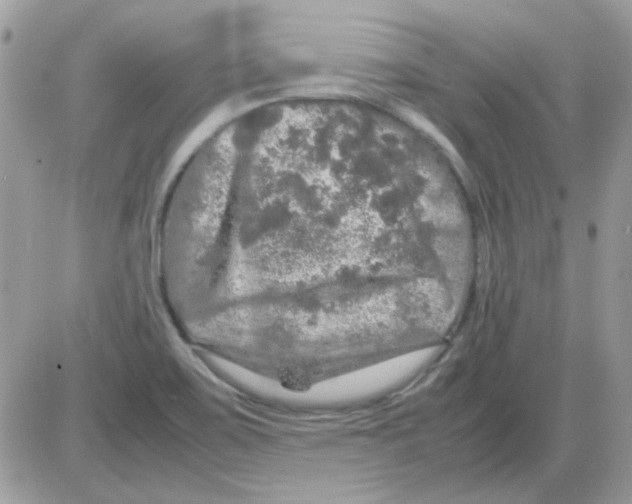 X0000085841467200704132051