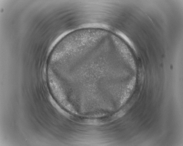 X0000085841468200704132051