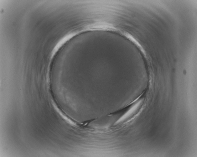 X0000085841469200704132051