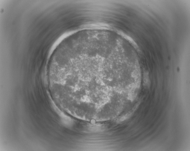 X0000085841470200704132051