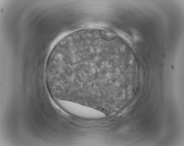 X0000085841471200704132051