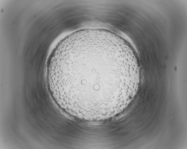 X0000085841472200704132051