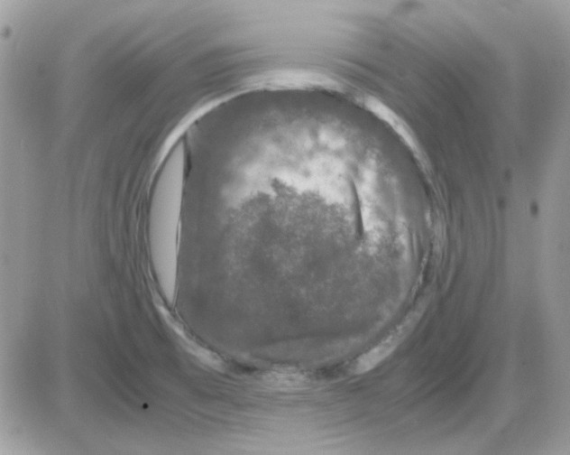 X0000085841473200704132050