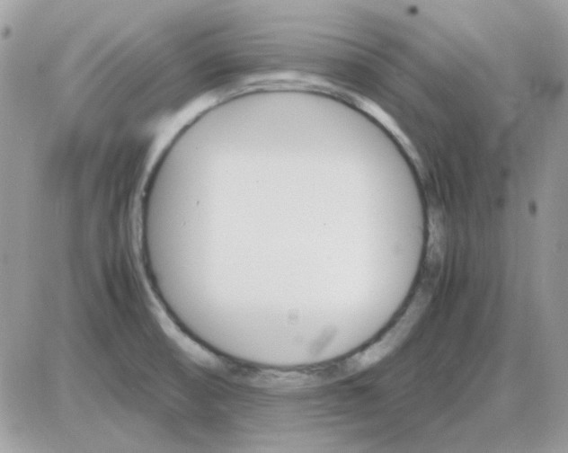 X0000085841474200704132050