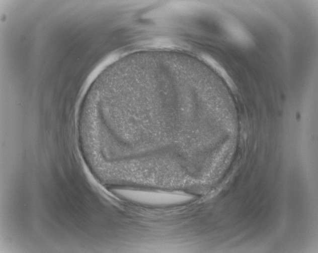 X0000085841475200704132050