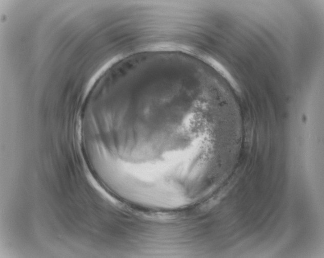 X0000085841476200704132050