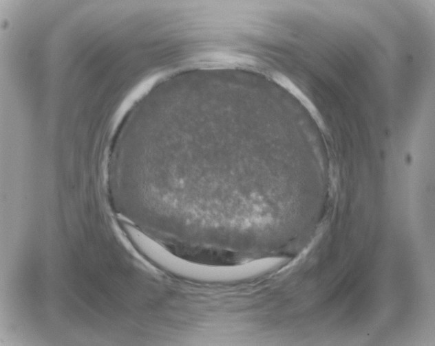 X0000085841477200704132050