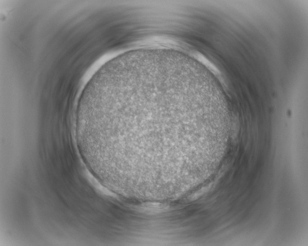 X0000085841478200704132050