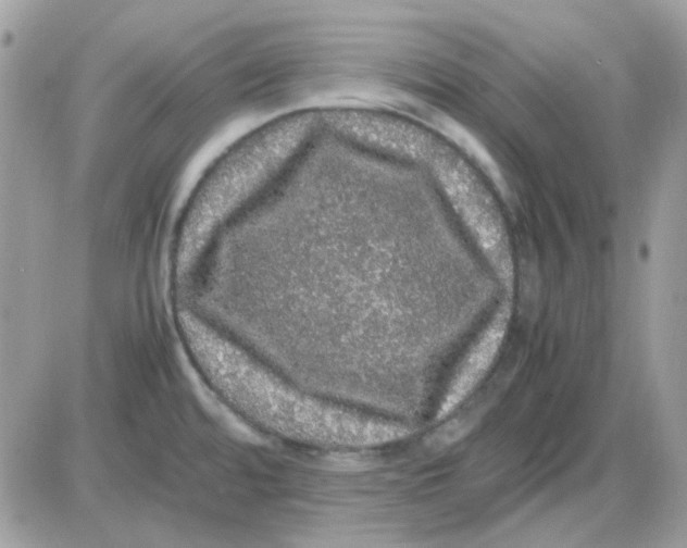 X0000085841480200704132050