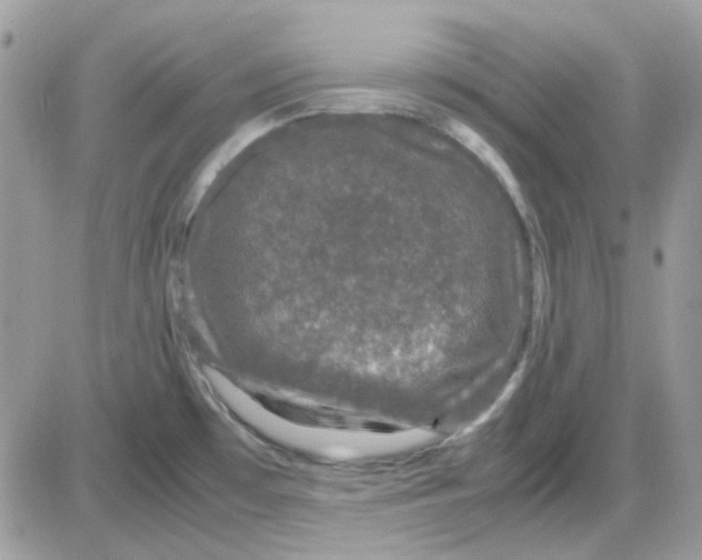 X0000085841481200704132050