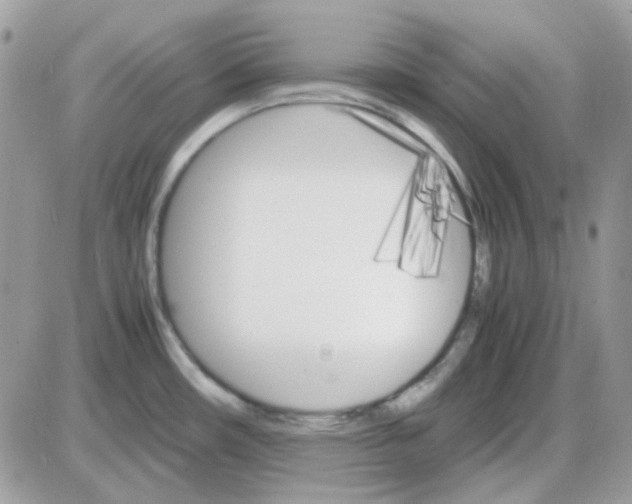 X0000085841482200704132050