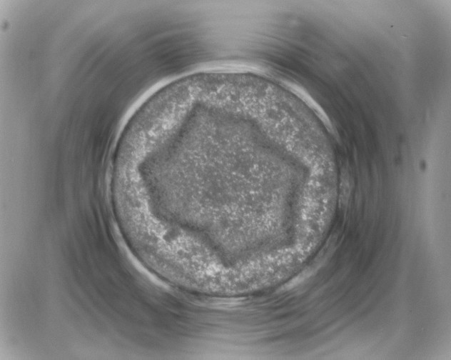 X0000085841484200704132050