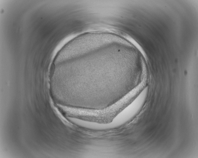 X0000085841485200704132050