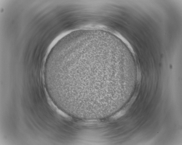 X0000085841486200704132050