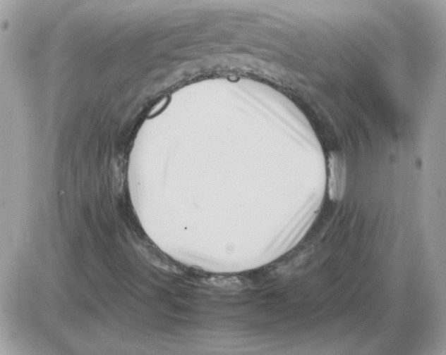 X0000085841491200704132049