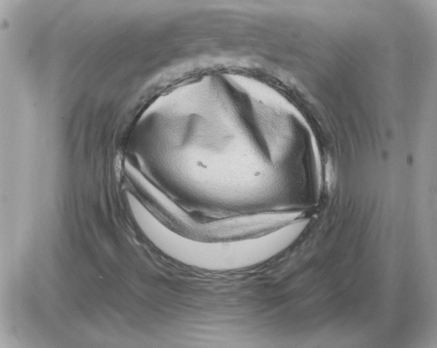 X0000085841492200704132049