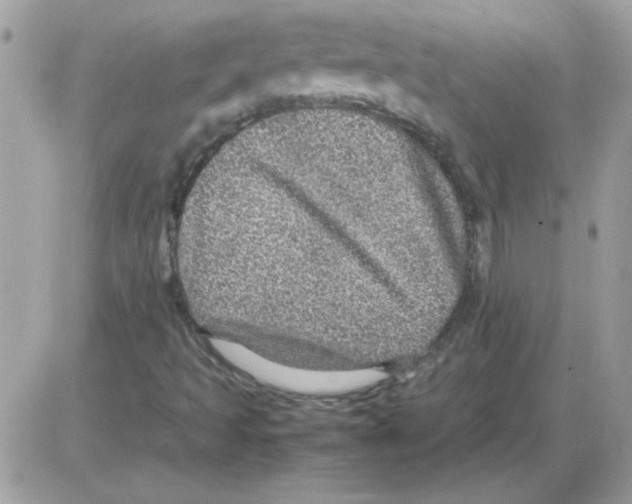 X0000085841493200704132050