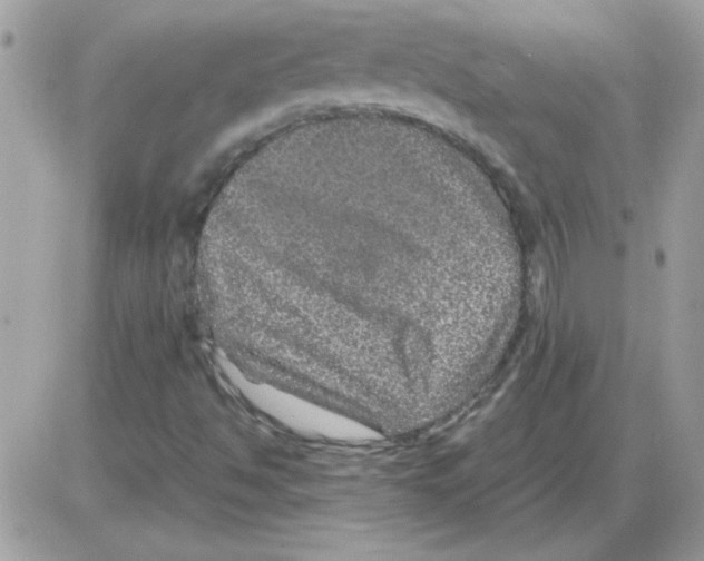 X0000085841494200704132050