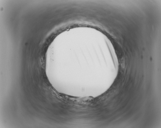 X0000085841495200704132050