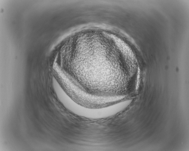 X0000085841496200704132050