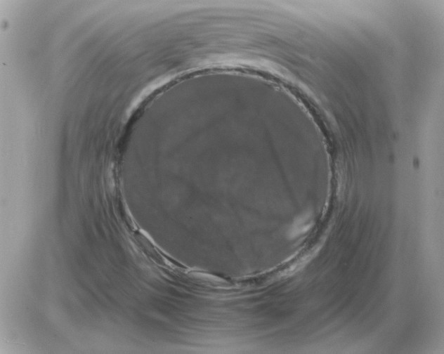 X0000085841497200704132050