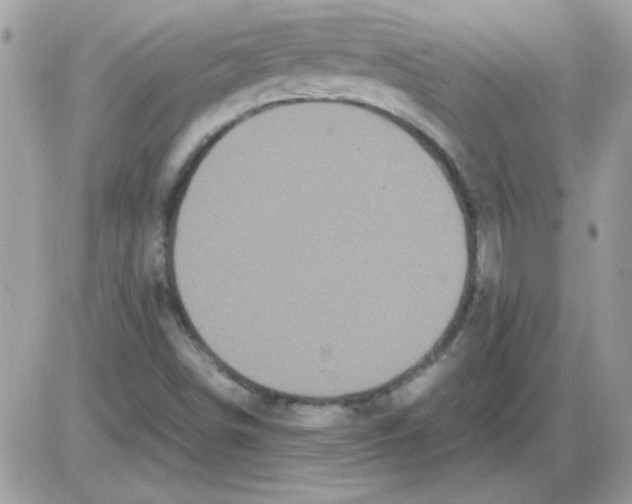 X0000085841498200704132050