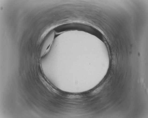 X0000085841499200704132050