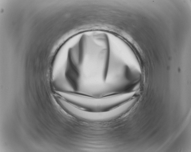 X0000085841500200704132050