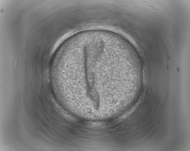 X0000085841501200704132050