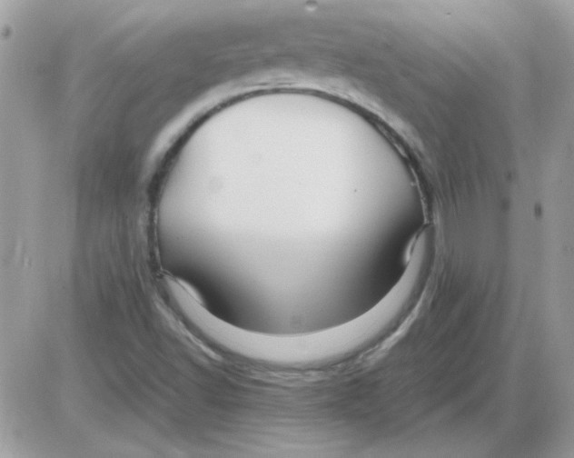 X0000085841502200704132050