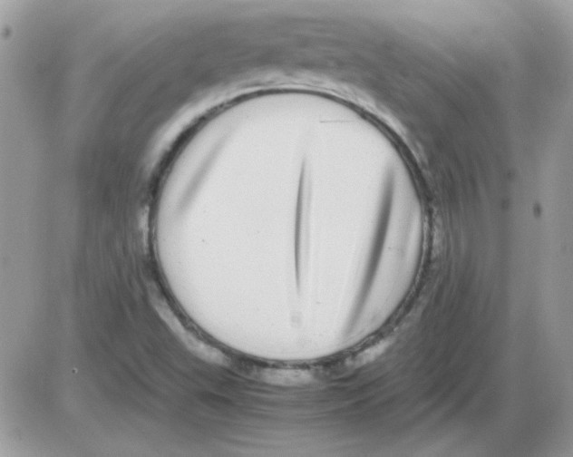 X0000085841503200704132050