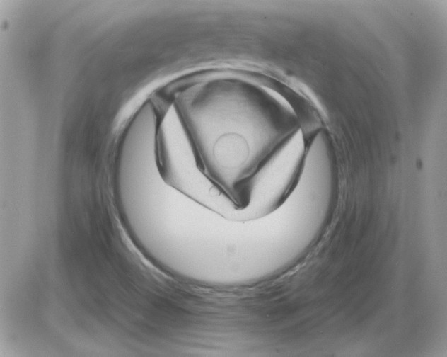 X0000085841504200704132050