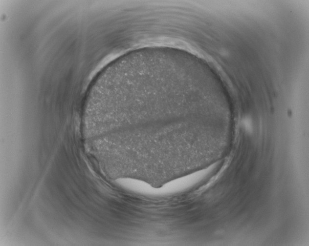 X0000085841505200704132050