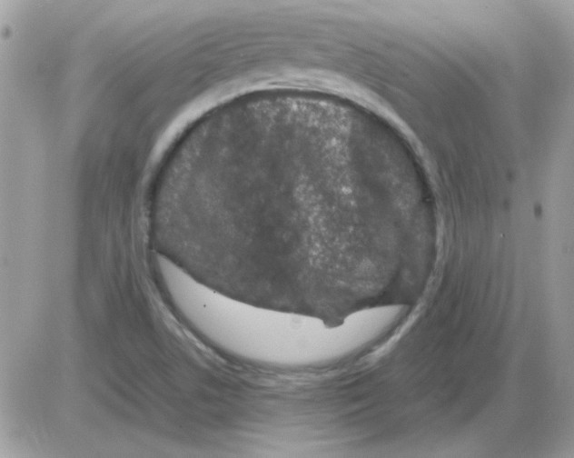 X0000085841506200704132050