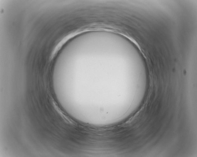 X0000085841507200704132050