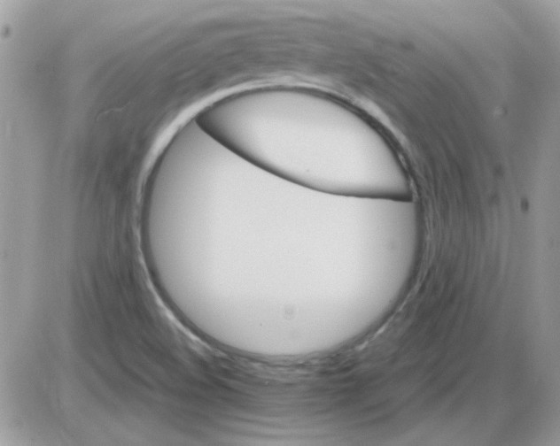 X0000085841508200704132050