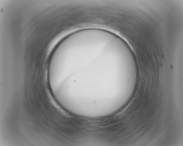 X0000085841511200704132050