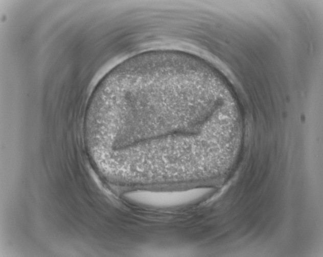 X0000085841513200704132050