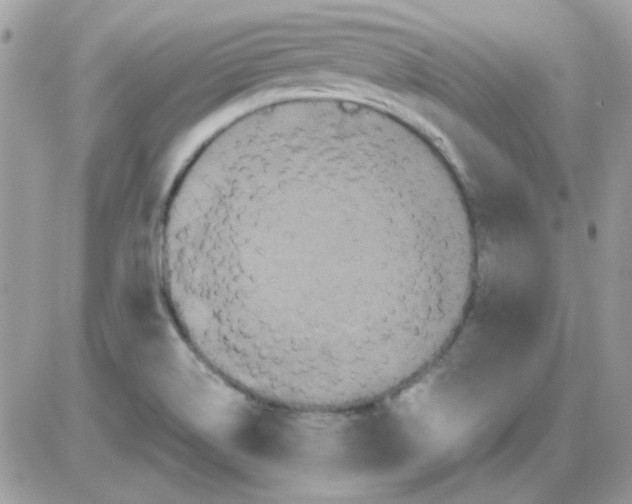 X0000085841514200704132050