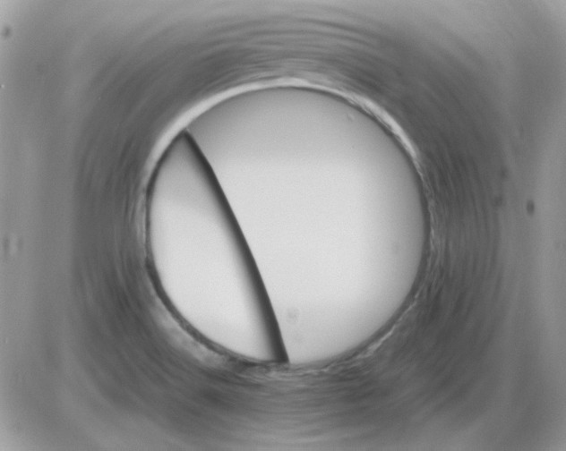 X0000085841516200704132050