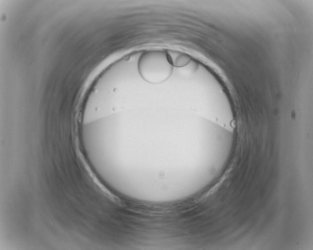 X0000085841517200704132050