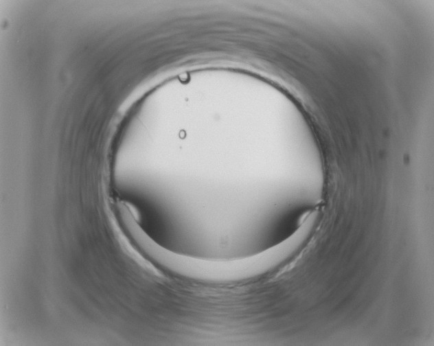 X0000085841518200704132050