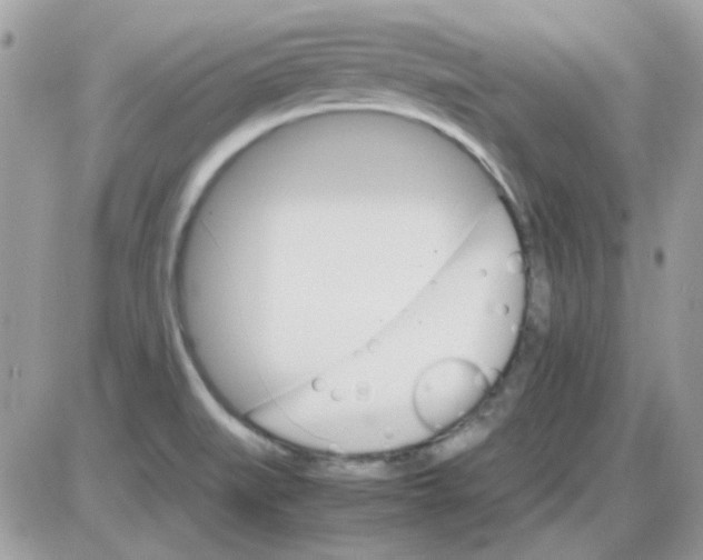 X0000085841519200704132050