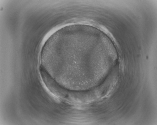 X0000085841520200704132050